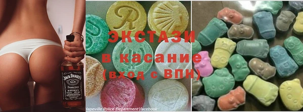 индика Бронницы
