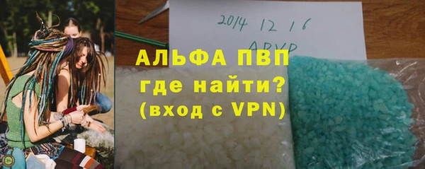 индика Бронницы