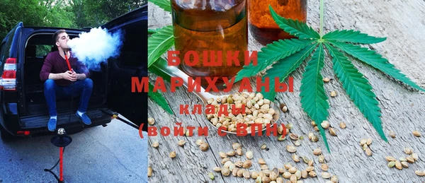 индика Бронницы