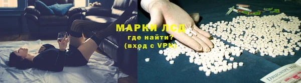 mdpv Бородино