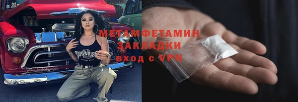 индика Бронницы