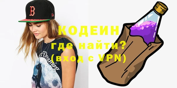 индика Бронницы