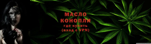 индика Бронницы