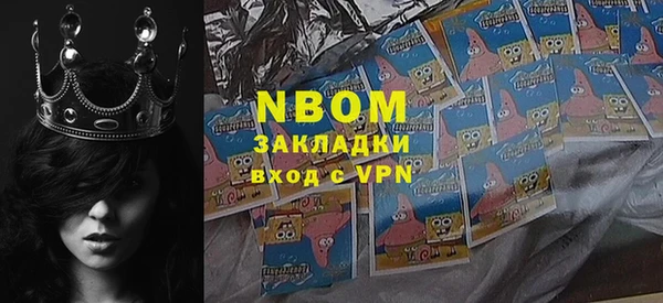 индика Бронницы