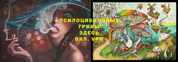 гашик Бугульма