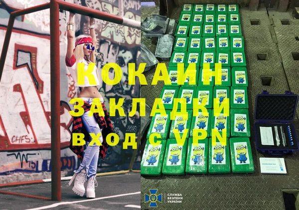 индика Бронницы