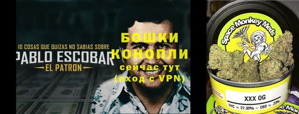 индика Бронницы