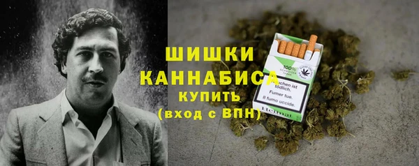 mdpv Бородино
