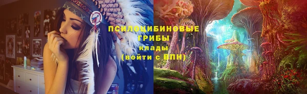 mdpv Бородино