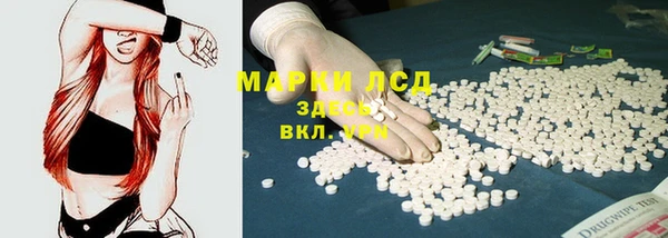 mdpv Бородино
